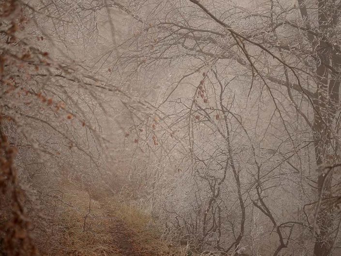 изкуство за подарък и интериори