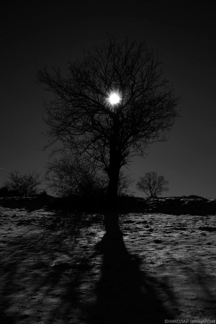 черно-бяла фотография за интериор